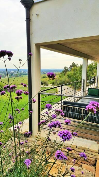 La Maison De L'Ecu : Charme Et Vue Incroyable Beaune  Esterno foto