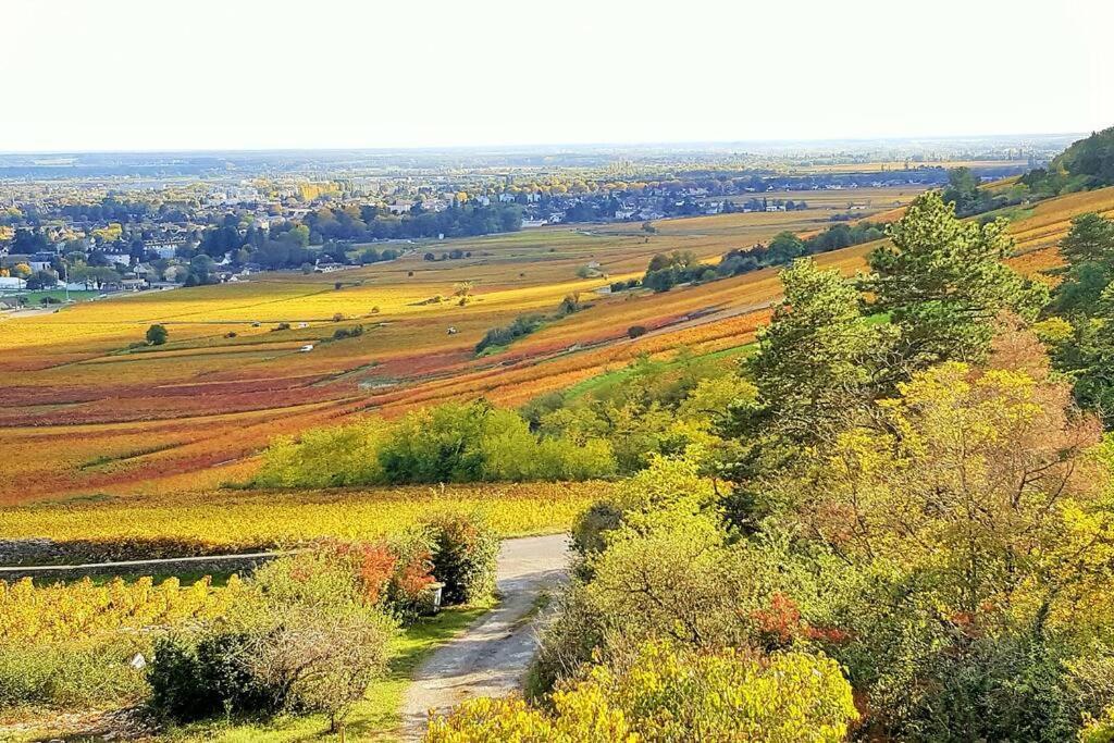 La Maison De L'Ecu : Charme Et Vue Incroyable Beaune  Esterno foto