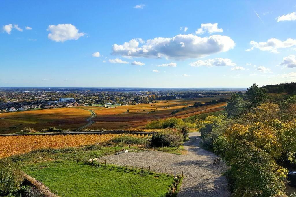 La Maison De L'Ecu : Charme Et Vue Incroyable Beaune  Esterno foto