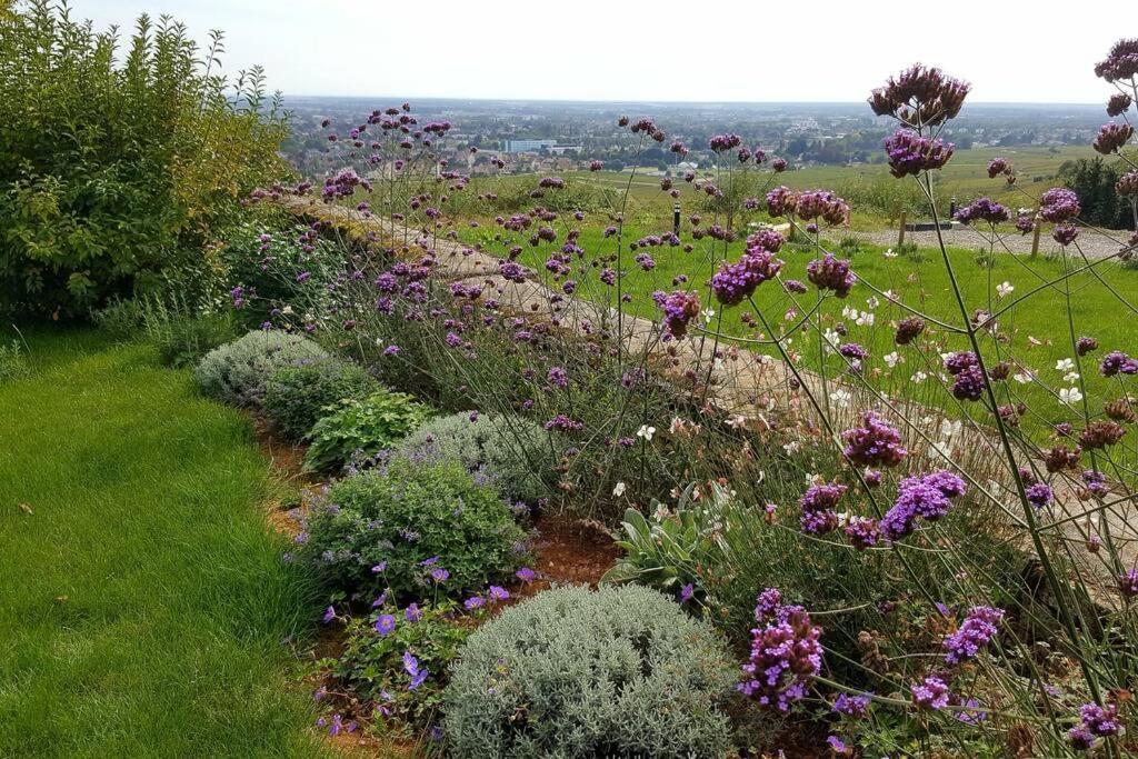 La Maison De L'Ecu : Charme Et Vue Incroyable Beaune  Esterno foto